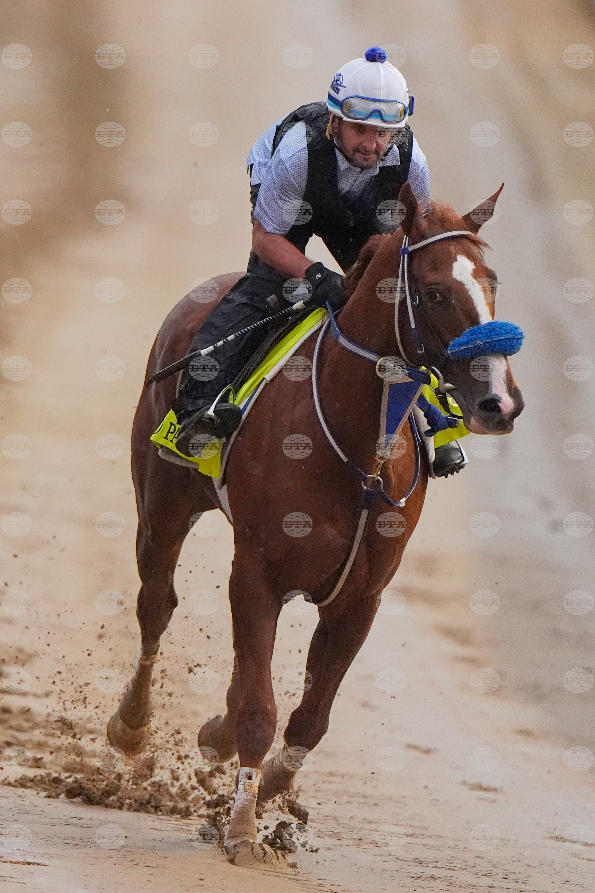 Kentucky Derby Horse Racing