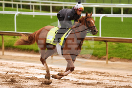 Kentucky Derby Horse Racing