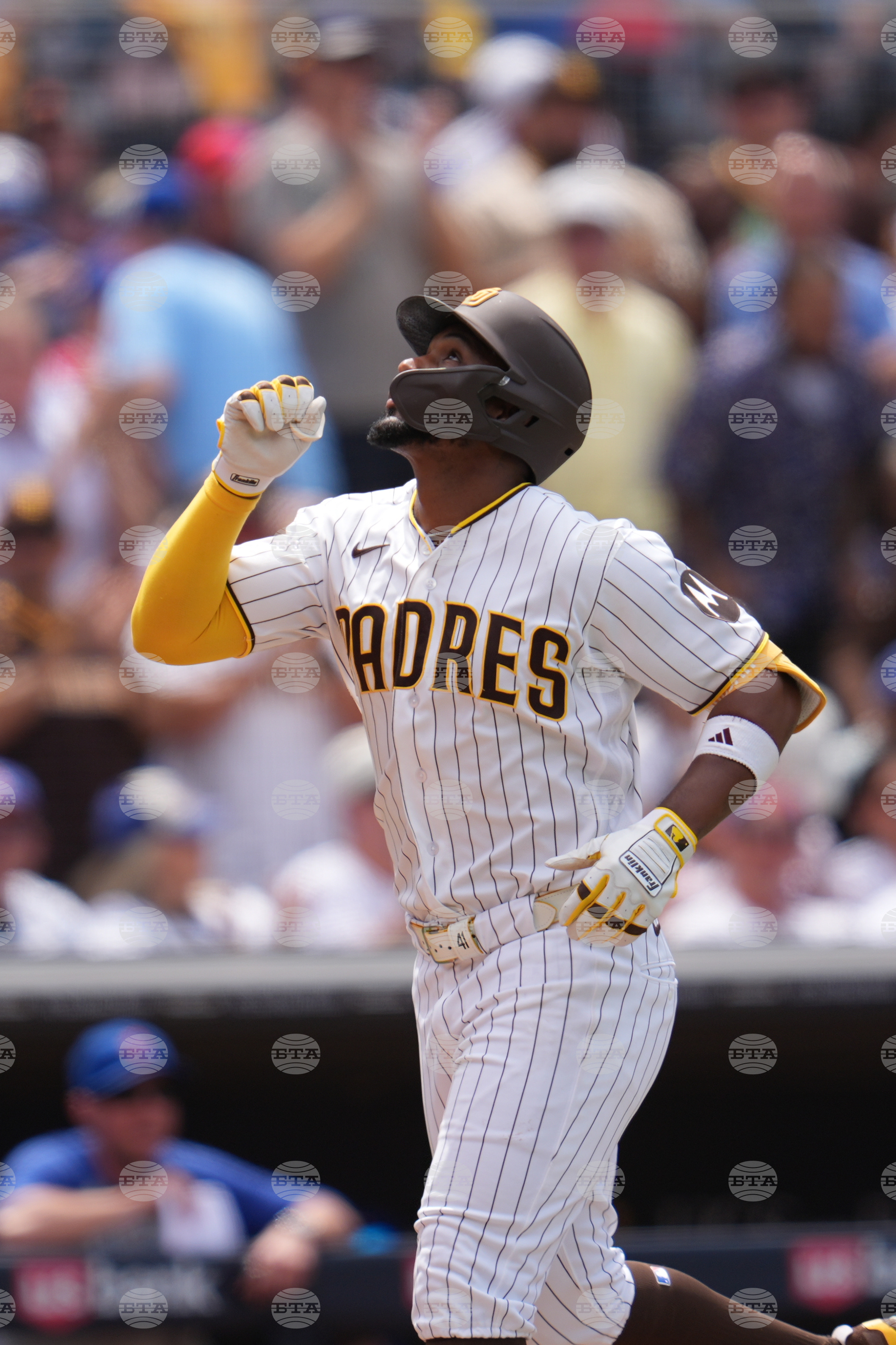 Cubs Padres Baseball