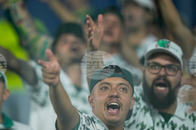 Paraguay Brazil Copa Libertadores Soccer