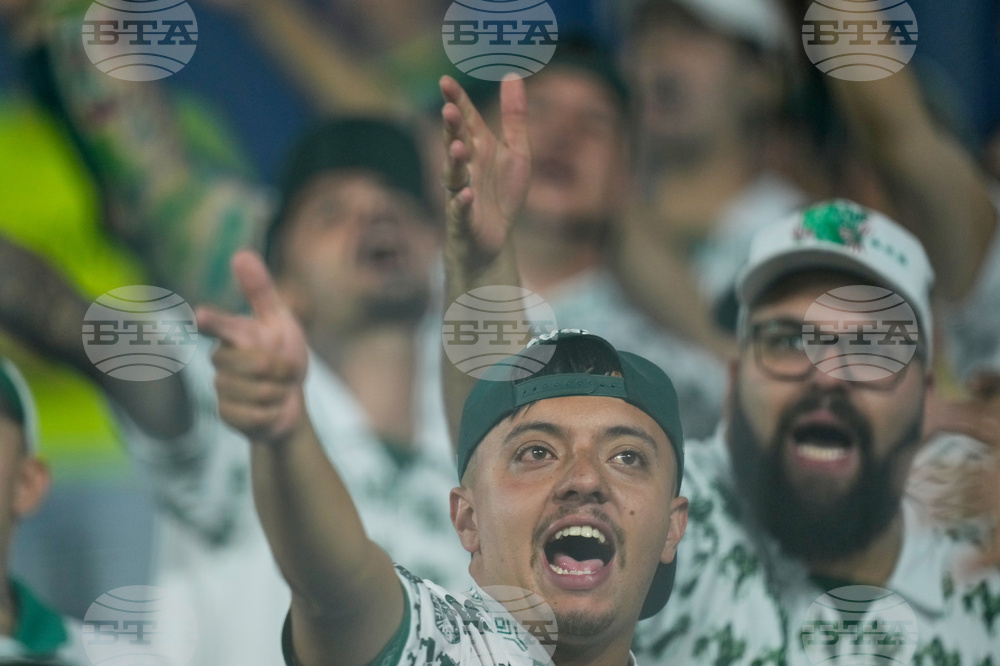 Paraguay Brazil Copa Libertadores Soccer