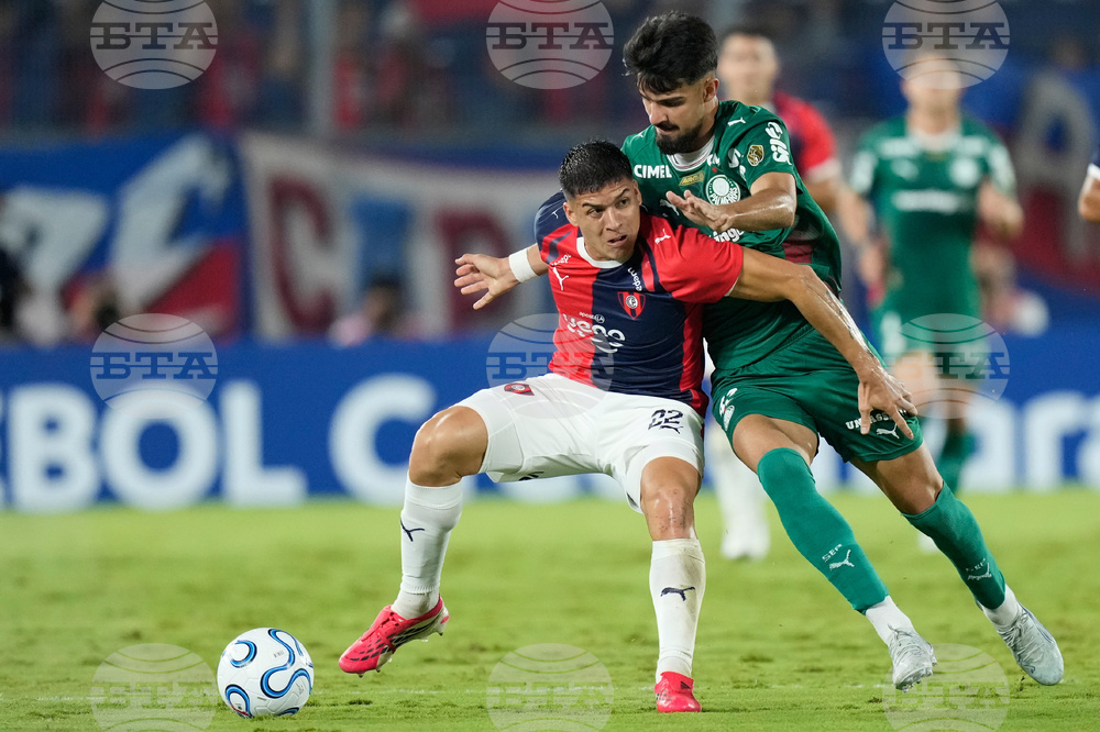 Paraguay Brazil Copa Libertadores Soccer