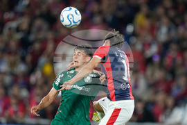 Paraguay Brazil Copa Libertadores Soccer
