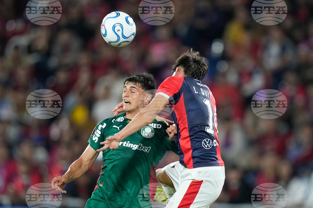 Paraguay Brazil Copa Libertadores Soccer