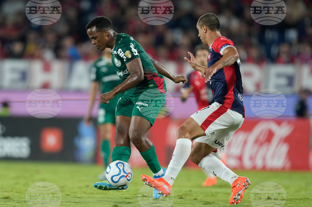 Paraguay Brazil Copa Libertadores Soccer