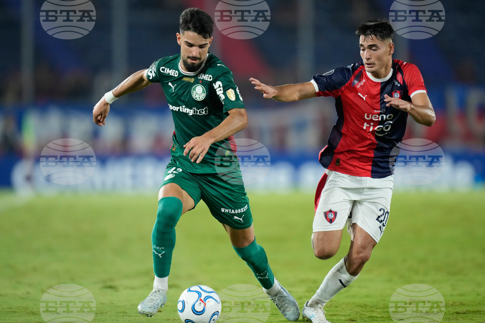 Paraguay Brazil Copa Libertadores Soccer
