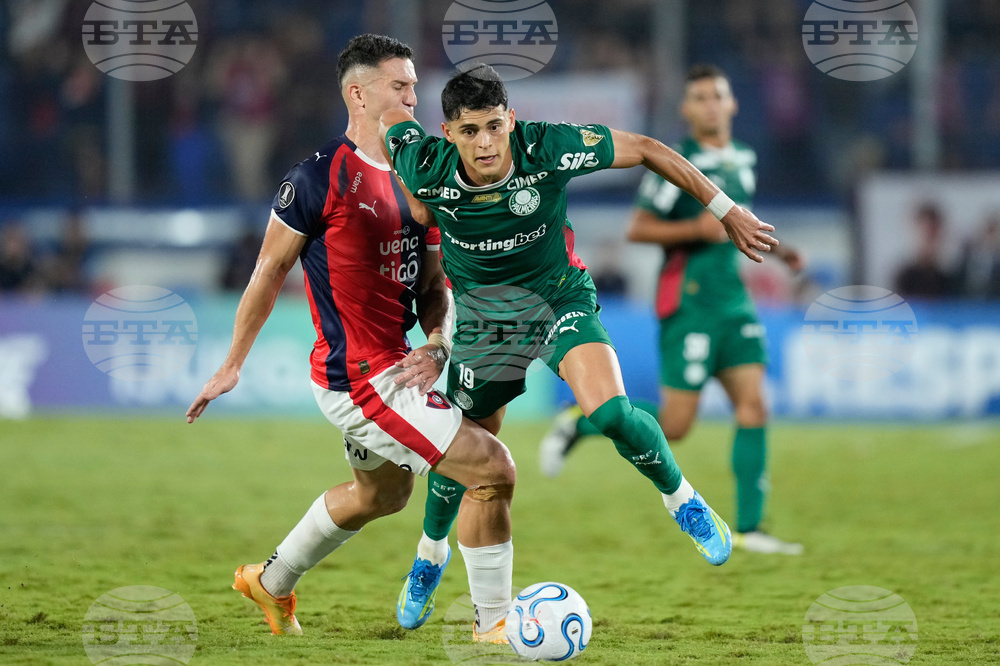 Paraguay Brazil Copa Libertadores Soccer