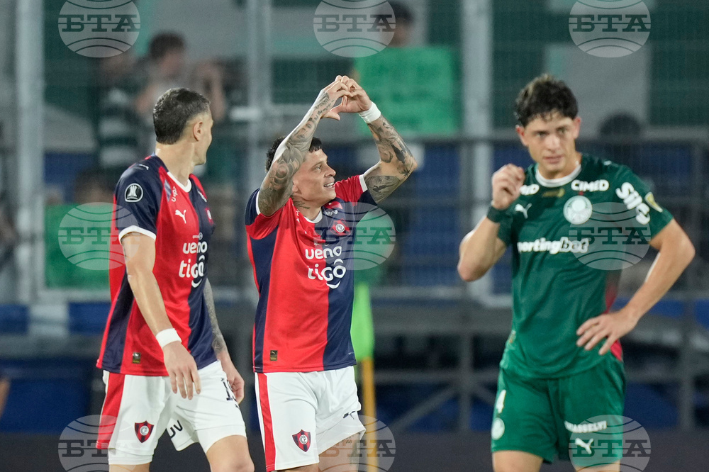 Paraguay Brazil Copa Libertadores Soccer