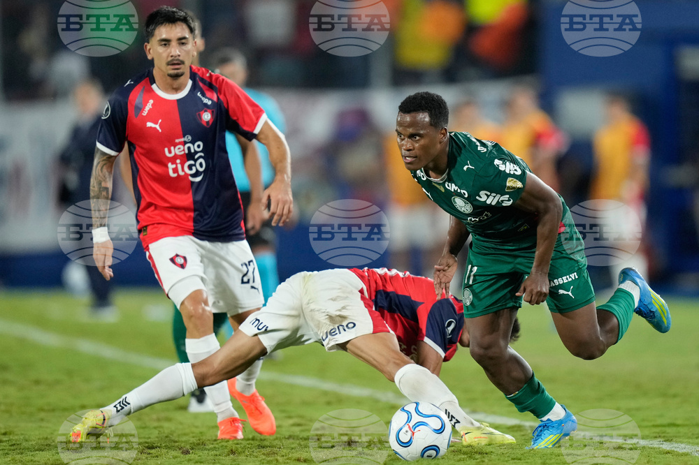Paraguay Brazil Copa Libertadores Soccer
