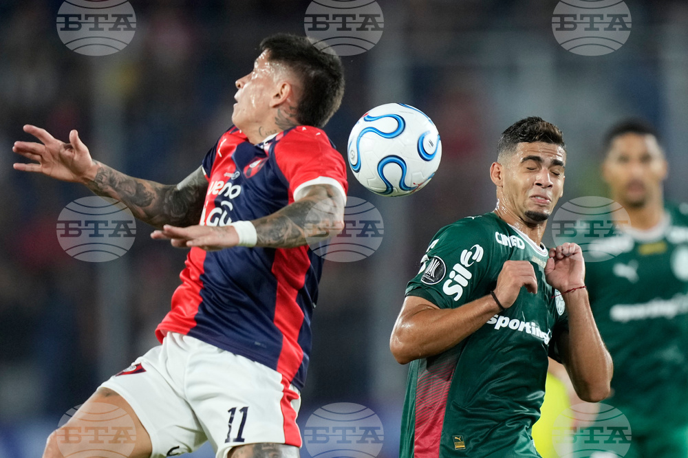 Paraguay Brazil Copa Libertadores Soccer