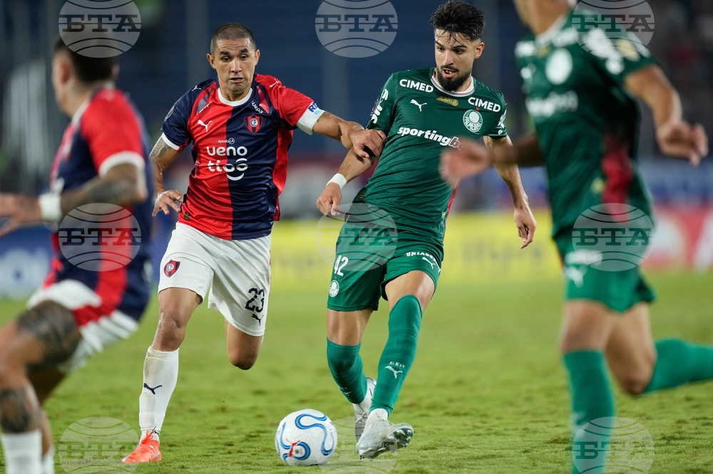 Paraguay Brazil Copa Libertadores Soccer