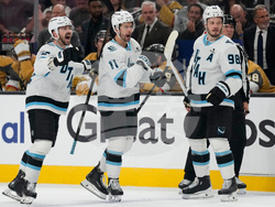 Mammoth Golden Knights Hockey