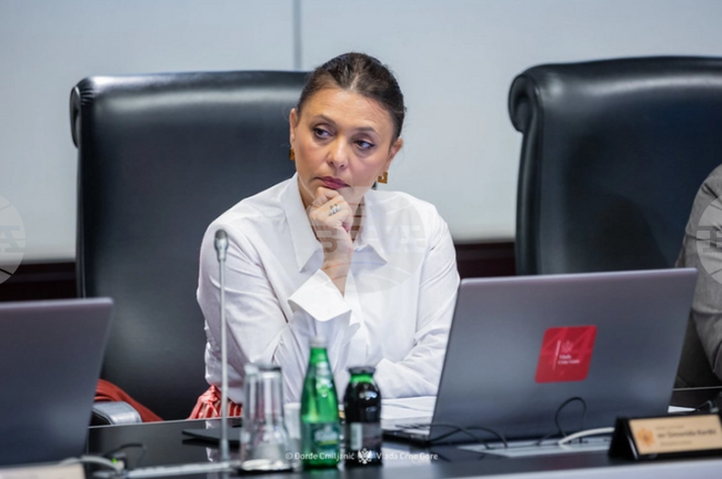 МИНА: Черна гора повишава международната си репутация с председателството си на Комисията по туризъм към ООН за Европа