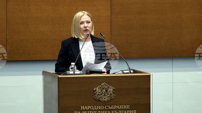 CC–DB MP Iordanova: We Respect People's Vote, Will Take Rightful Place as Opposition, But Not Mere Bystanders