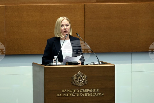 CC–DB MP Iordanova: We Respect People's Vote, Will Take Rightful Place as Opposition, But Not Mere Bystanders