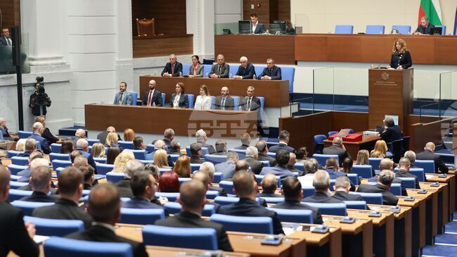 Михаела Доцова от "Прогресивна България" и Петър Петров от "Възраждане" са кандидатурите за председател на Народното събрание