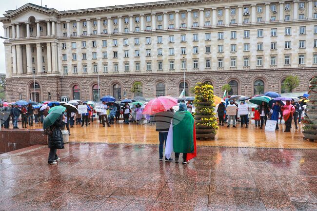 DallBogg Insurance Company Employees, Transport Sector Representatives Protest in Sofia, Demand Financial Regulator's Resignation 