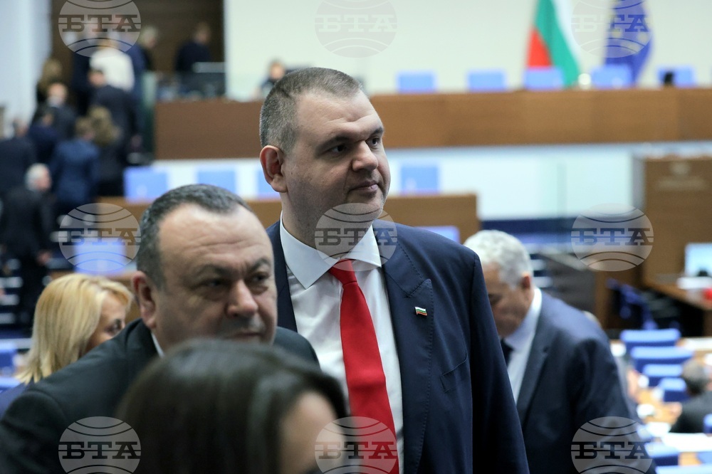 Народно събрание - избор на председател - Михаела Доцова