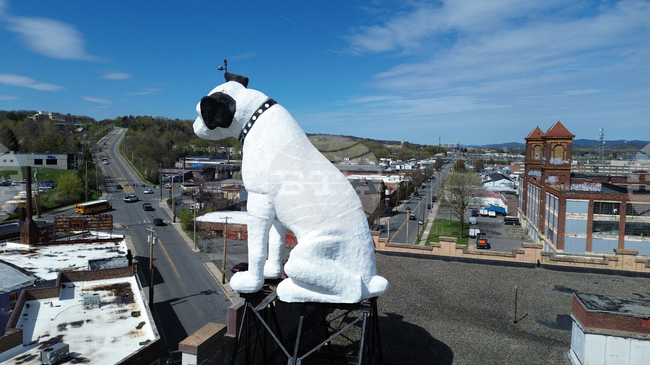 Giant Dog Statue
