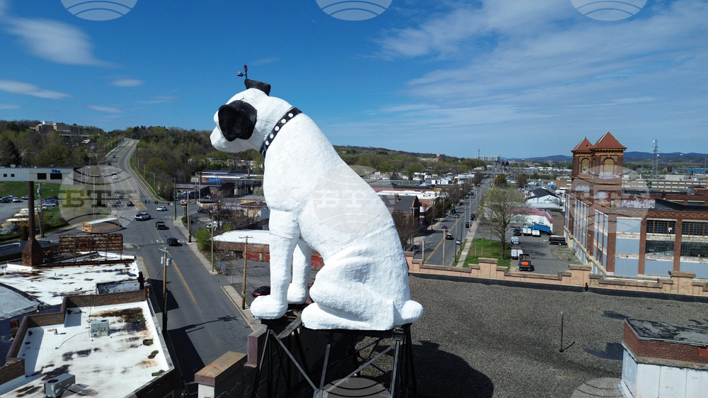 Giant Dog Statue
