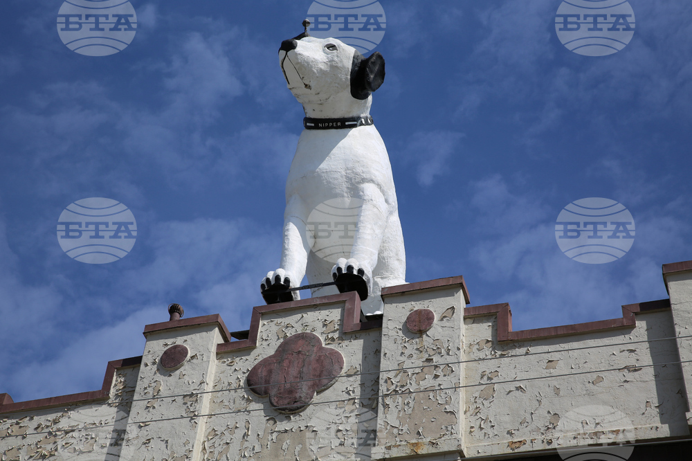 Giant Dog Statue