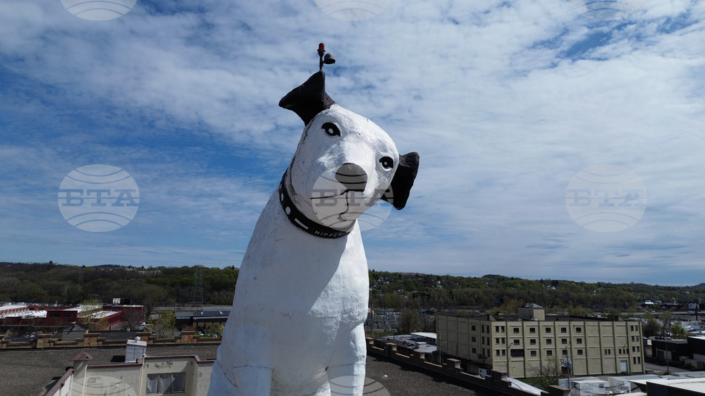 Giant Dog Statue