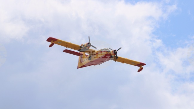 Гръцките власти овладяха горски пожар в планината Парнита близо до Атина; няма данни за пострадали