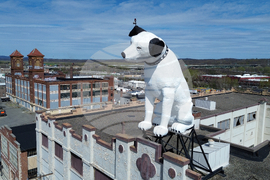 APTOPIX Giant Dog Statue