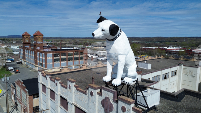 APTOPIX Giant Dog Statue