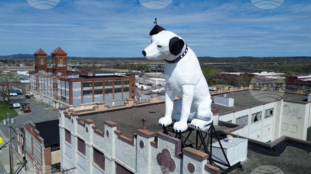 APTOPIX Giant Dog Statue