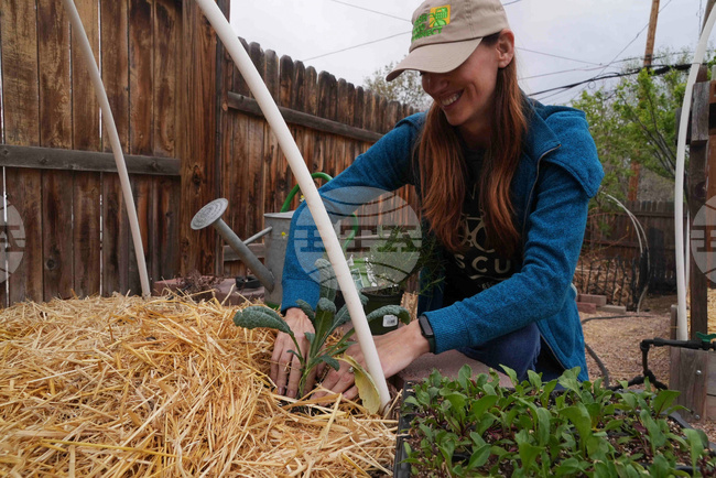 Climate Choices Watering Gardens
