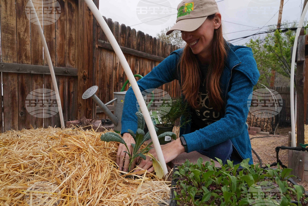 Climate Choices Watering Gardens