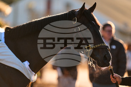Kentucky Derby Horse Racing