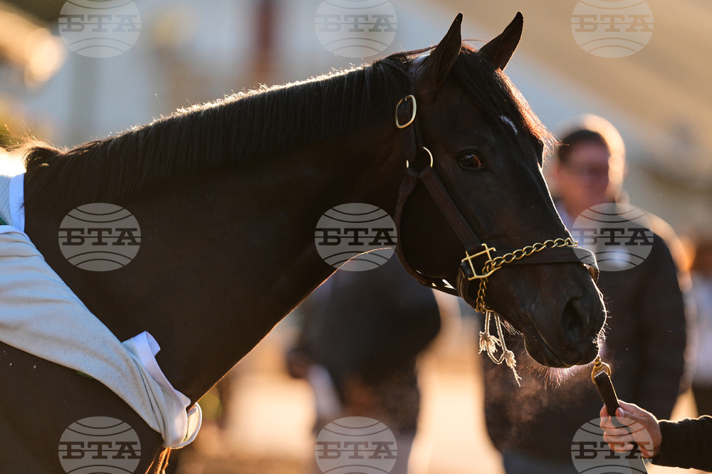 Kentucky Derby Horse Racing