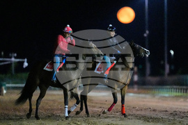 Kentucky Derby Horse Racing