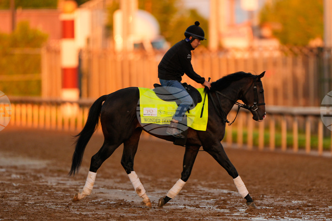 Kentucky Derby Japanese Racing