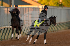 Kentucky Derby Horse Racing