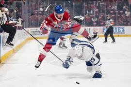 APTOPIX Marlies Rocket Hockey