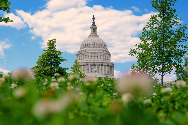 Capitol