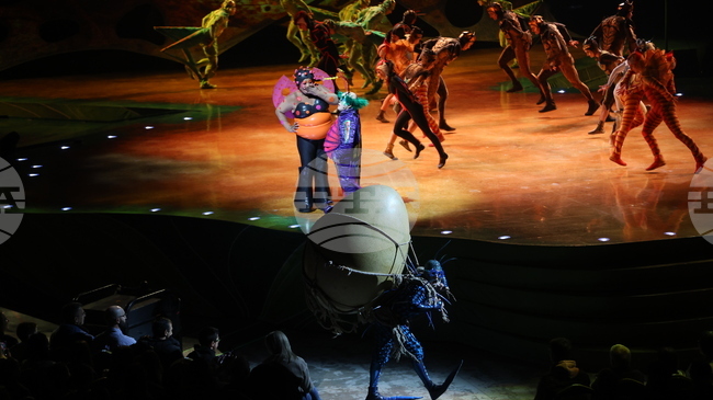 Cirque du Soleil през очите на публиката в София: Това е пиршество за сетивата 