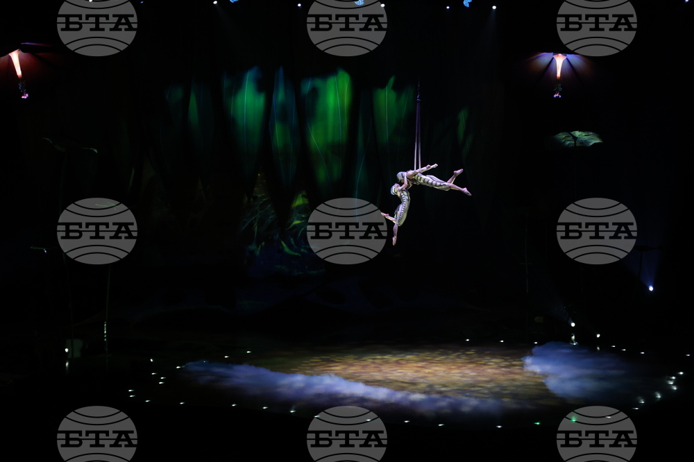 Cirque du Soleil - „Ovo“ - представление