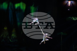 Cirque du Soleil - „Ovo“ - представление