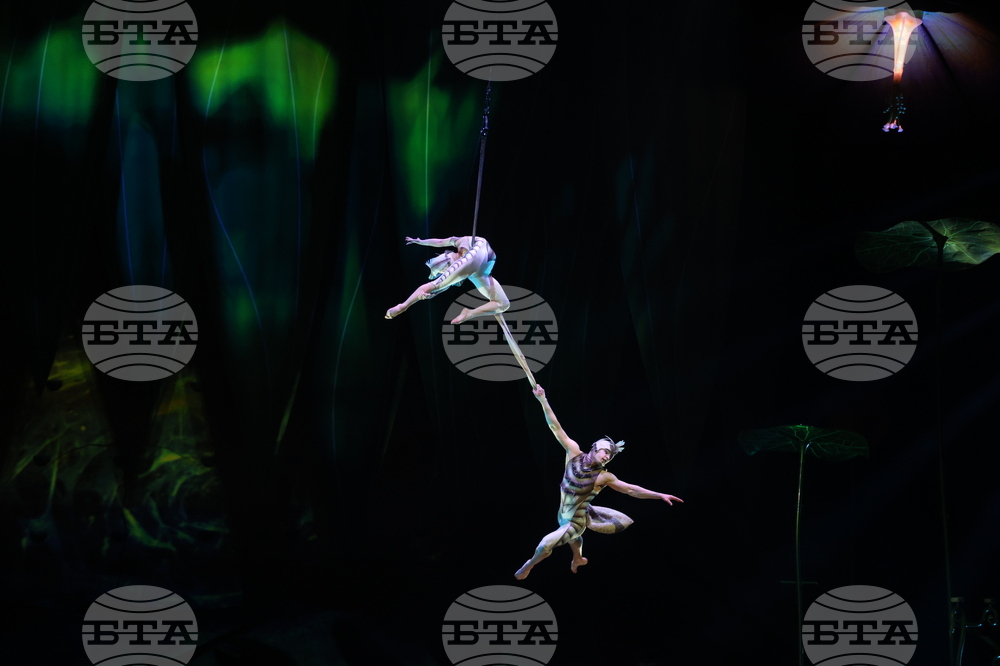Cirque du Soleil - „Ovo“ - представление