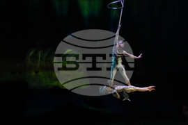 Cirque du Soleil - „Ovo“ - представление
