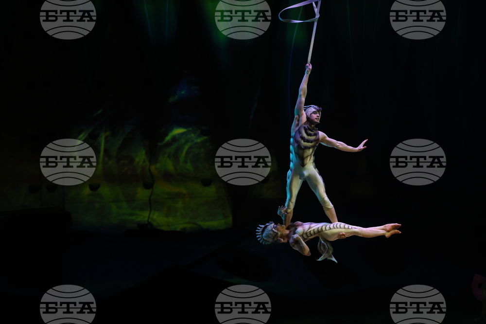 Cirque du Soleil - „Ovo“ - представление