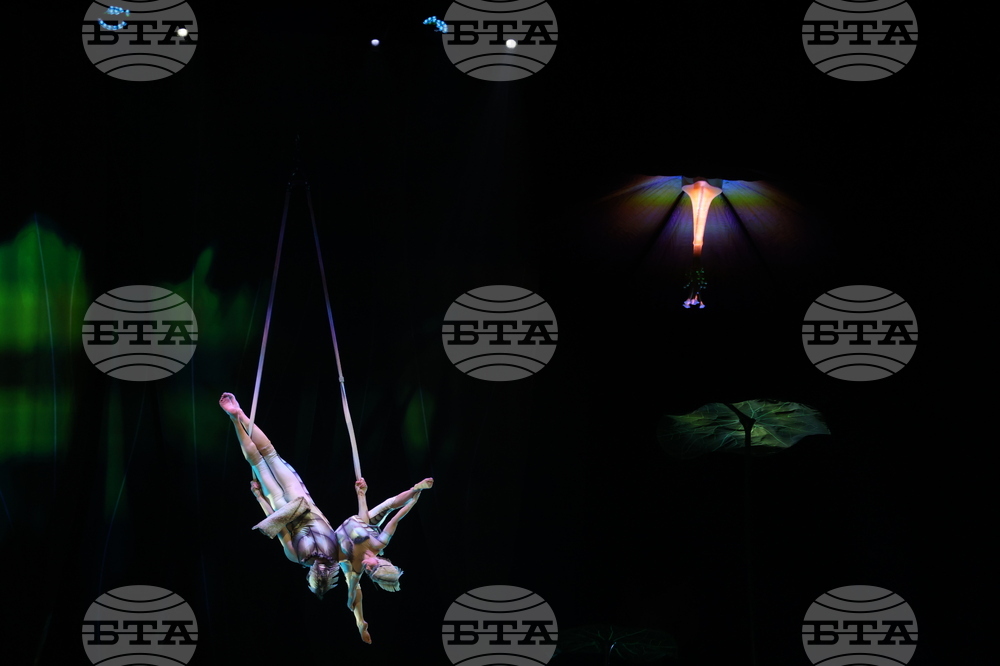 Cirque du Soleil - „Ovo“ - представление