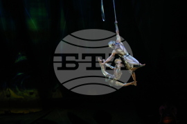 Cirque du Soleil - „Ovo“ - представление