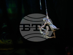 Cirque du Soleil - „Ovo“ - представление