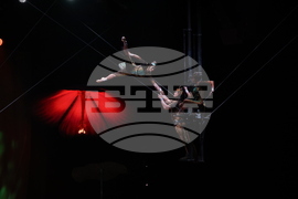 Cirque du Soleil - „Ovo“ - представление