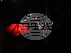 Cirque du Soleil - „Ovo“ - представление